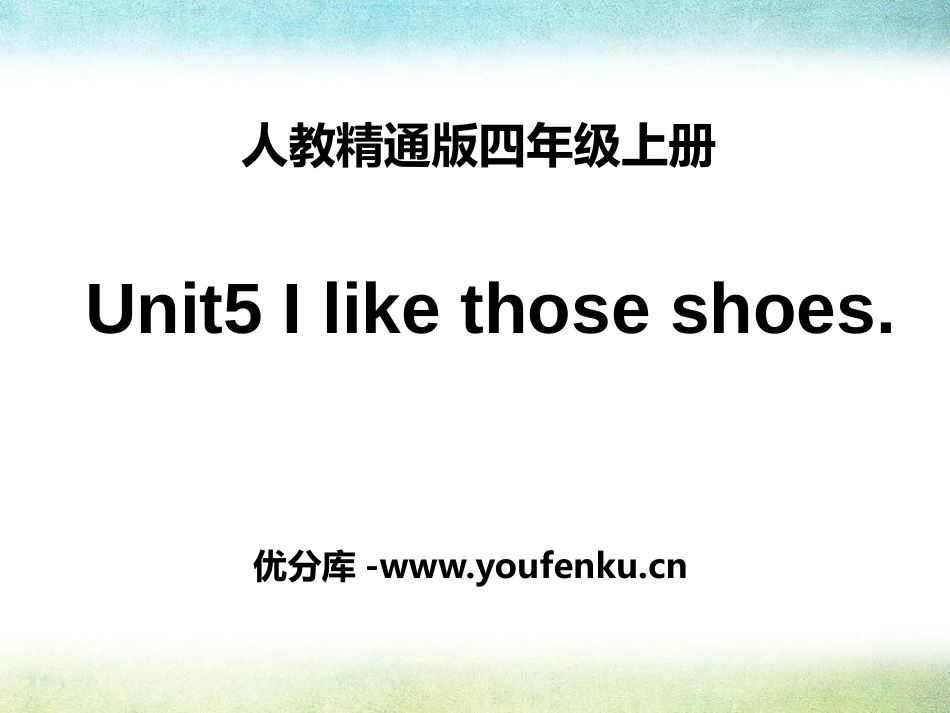 《I like those shoes》PPT课件_第1页