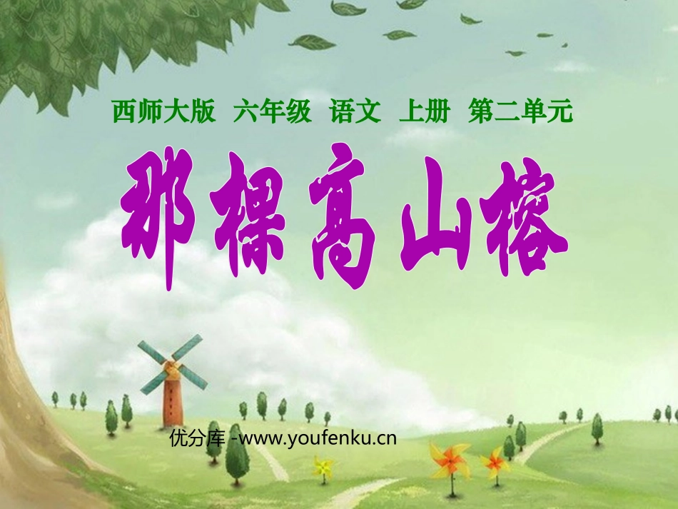《那棵高山榕》PPT课件[西师大版六年级语文上册]_第1页