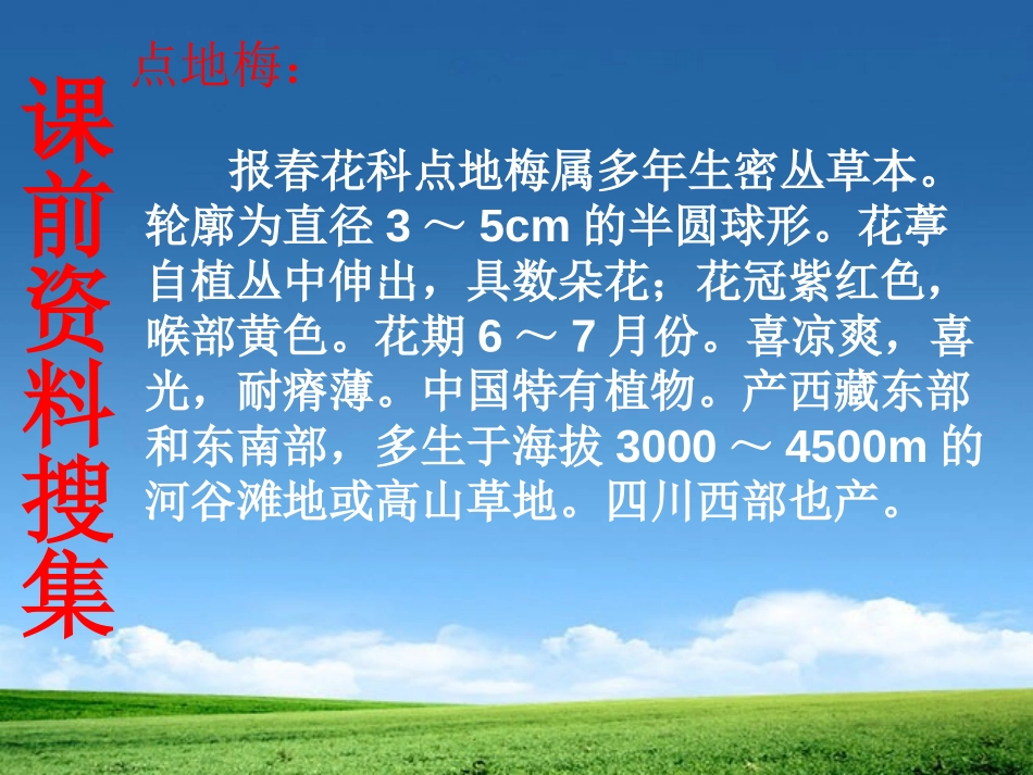 《烂漫的点地梅》PPT课件[西师大版六年级语文上册]_第3页