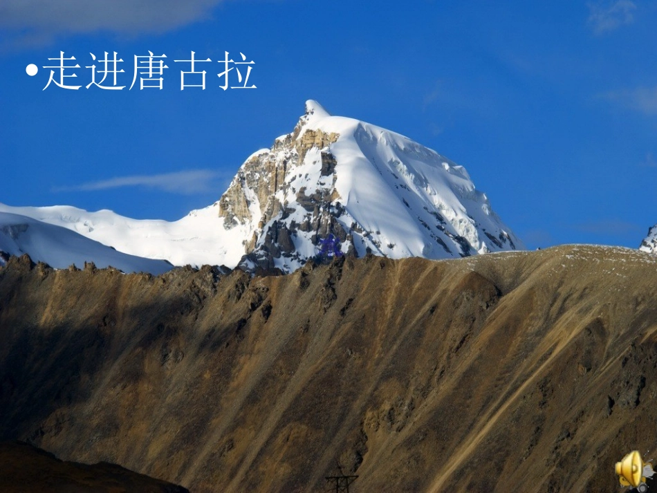 《烂漫的点地梅》PPT课件[西师大版六年级语文上册]_第3页