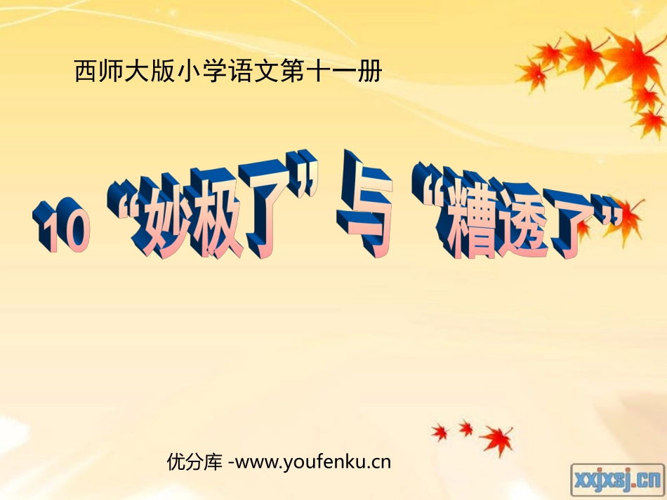 《妙极了与糟透了》PPT课件[西师大版六年级语文上册]_第1页