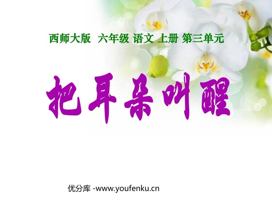 《把耳朵叫醒》PPT课件[西师大版六年级语文上册]_第1页