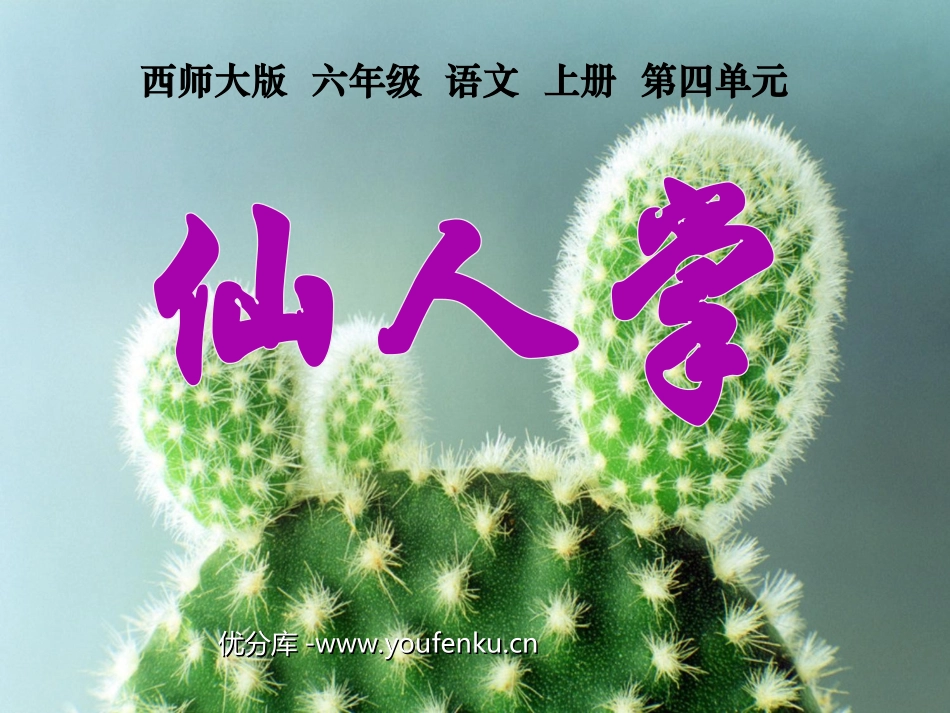 《仙人掌》PPT课件[西师大版六年级语文上册]_第1页