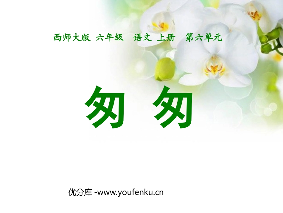 《匆匆》PPT课件[西师大版六年级语文上册]_第1页