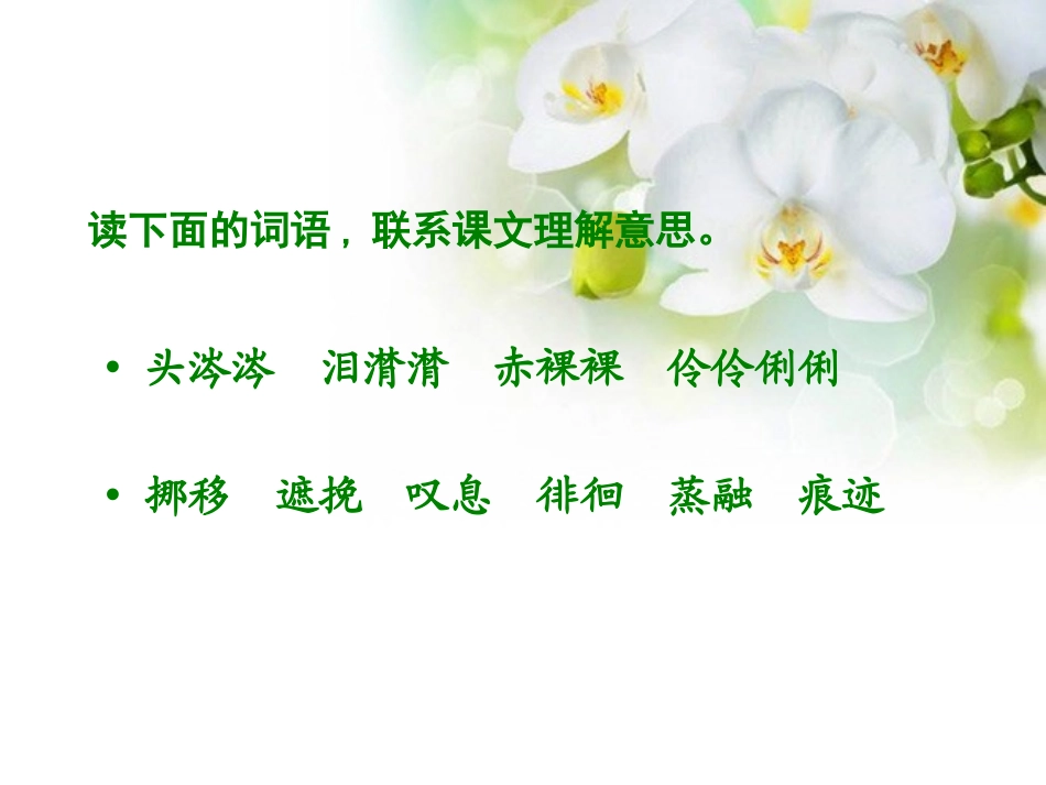 《匆匆》PPT课件[西师大版六年级语文上册]_第3页