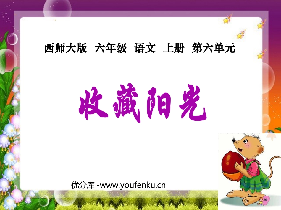 《收藏阳光》PPT课件[西师大版六年级语文上册]_第1页