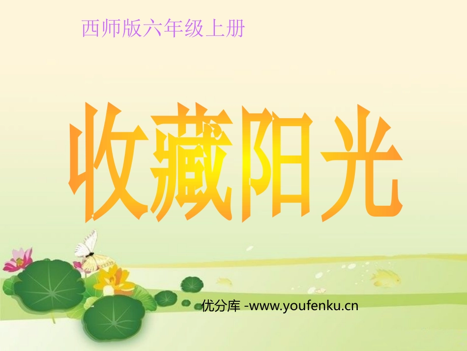 《收藏阳光》PPT课件[西师大版六年级语文上册]_第1页