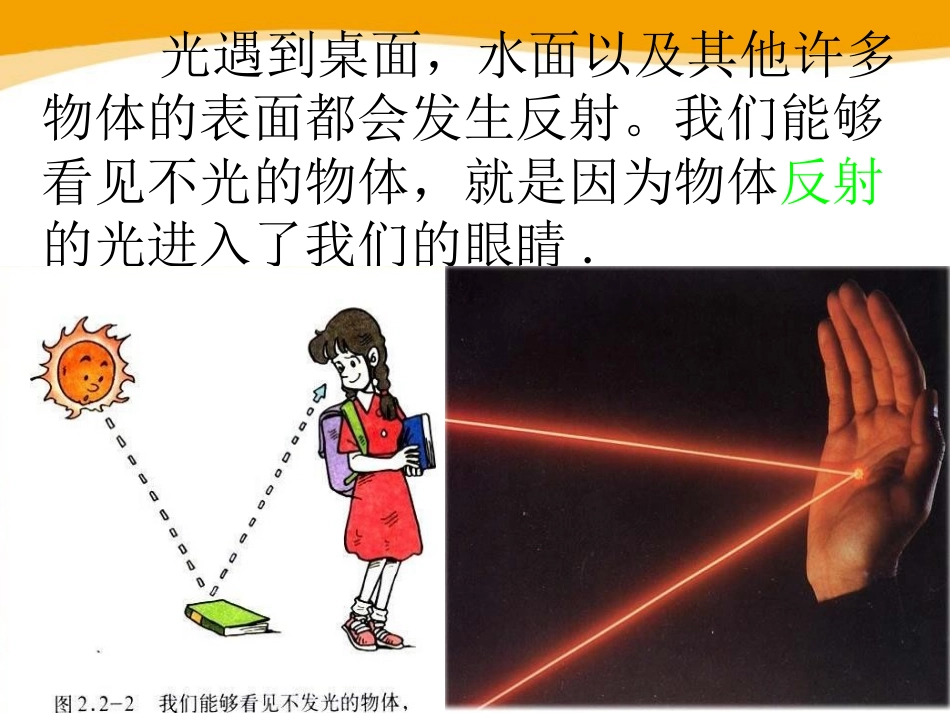 《光的反射》光现象PPT课件1[北师大八年级物理上册]_第2页