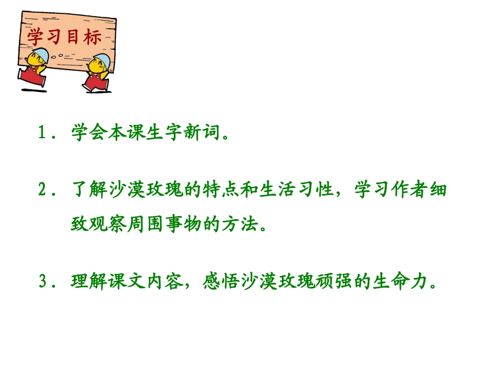 《沙漠玫瑰》PPT课件[西师大版六年级语文上册]_第2页