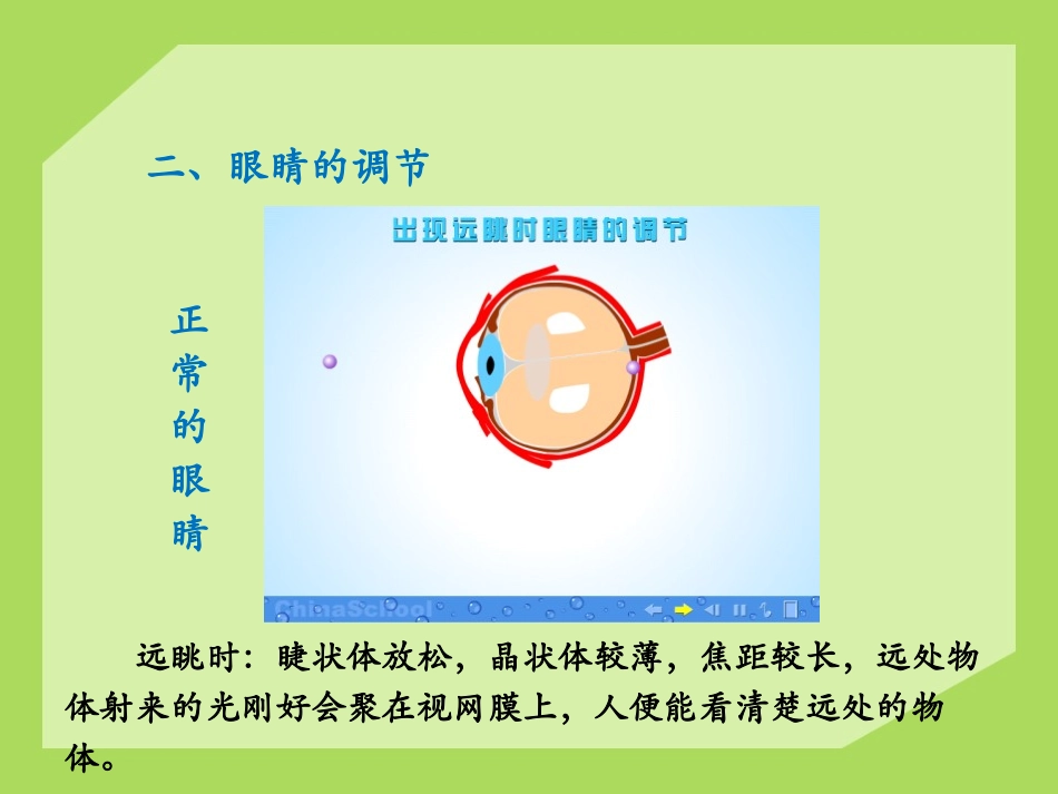 《眼睛和眼镜》常见的光学仪器PPT课件[北师大八年级物理]_第3页