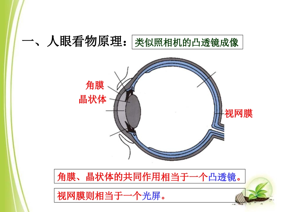 《眼睛和眼镜》常见的光学仪器PPT课件[北师大八年级物理]_第3页