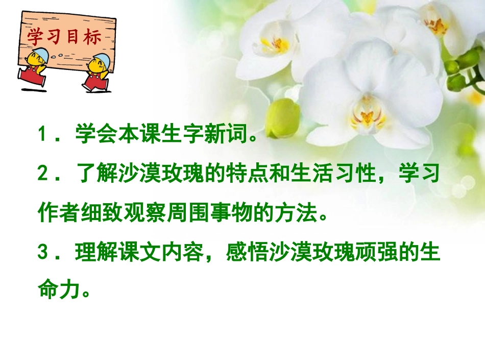 《沙漠玫瑰》PPT课件[西师大版六年级语文上册]_第2页