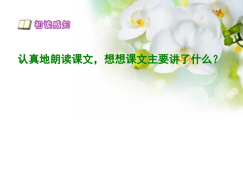 《沙漠玫瑰》PPT课件[西师大版六年级语文上册]_第3页