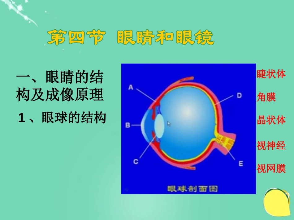 《眼睛和眼镜》常见的光学仪器PPT课件[北师大八年级物理]_第2页