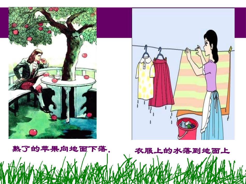 《重力》运动和力PPT课件[北师大八年级物理下册]_第3页