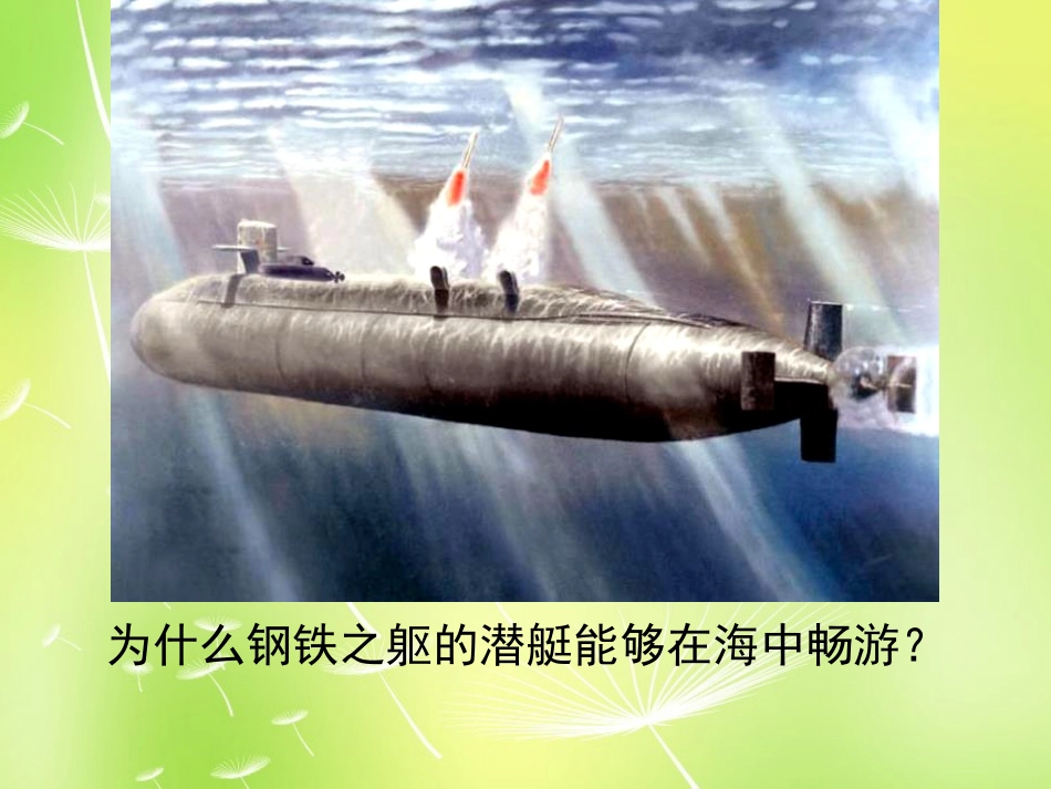 《探究-影响浮力大小因素》压强与浮力PPT课件[北师大八年级物理]_第2页