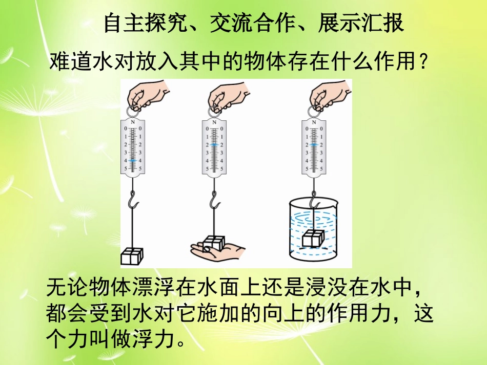 《探究-影响浮力大小因素》压强与浮力PPT课件[北师大八年级物理]_第3页