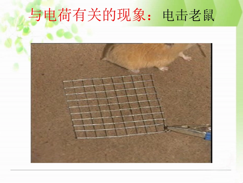 《电荷》简单电路PPT课件[北师大九年级物理上册]_第2页