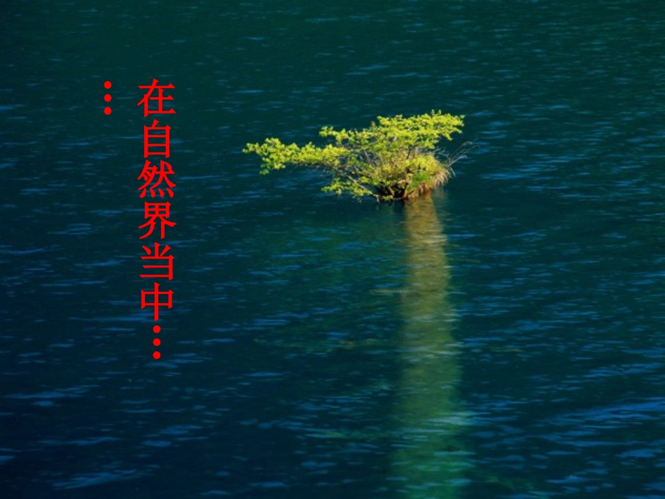 《探索之路》打开物理世界的大门PPT课件[沪科版八年级物理]_第2页
