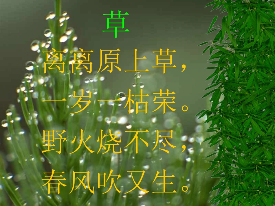 《草》PPT课件[部编版二年级语文下册]_第1页