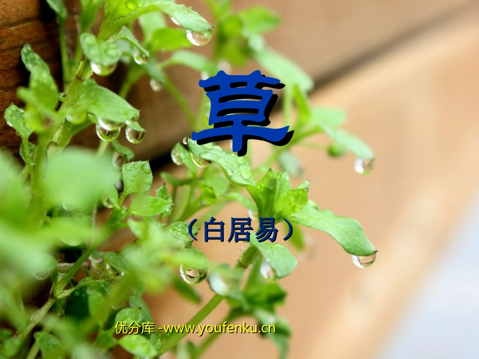 《草》PPT课件[部编版二年级语文下册]_第1页