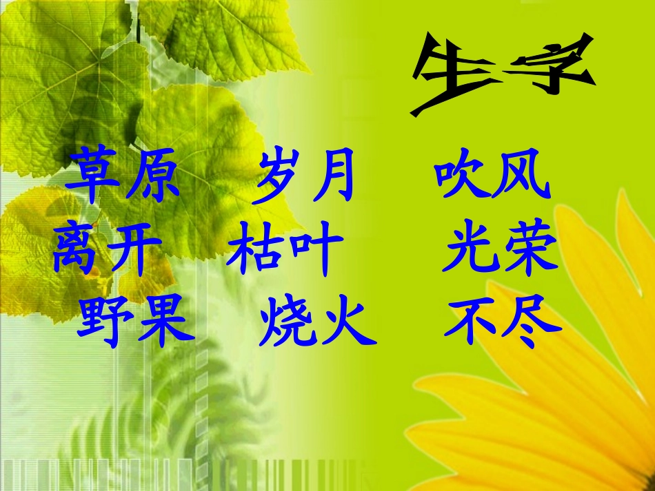《草》PPT课件[部编版二年级语文下册]_第3页
