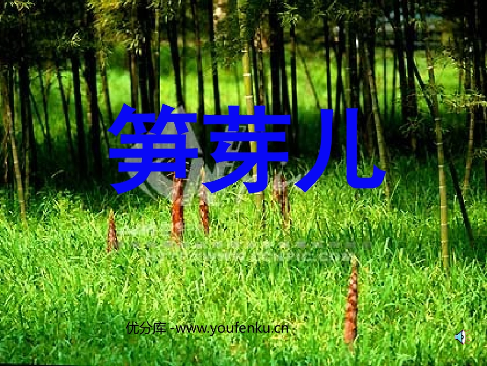 《笋芽儿》PPT课件[部编版二年级语文下册]_第1页