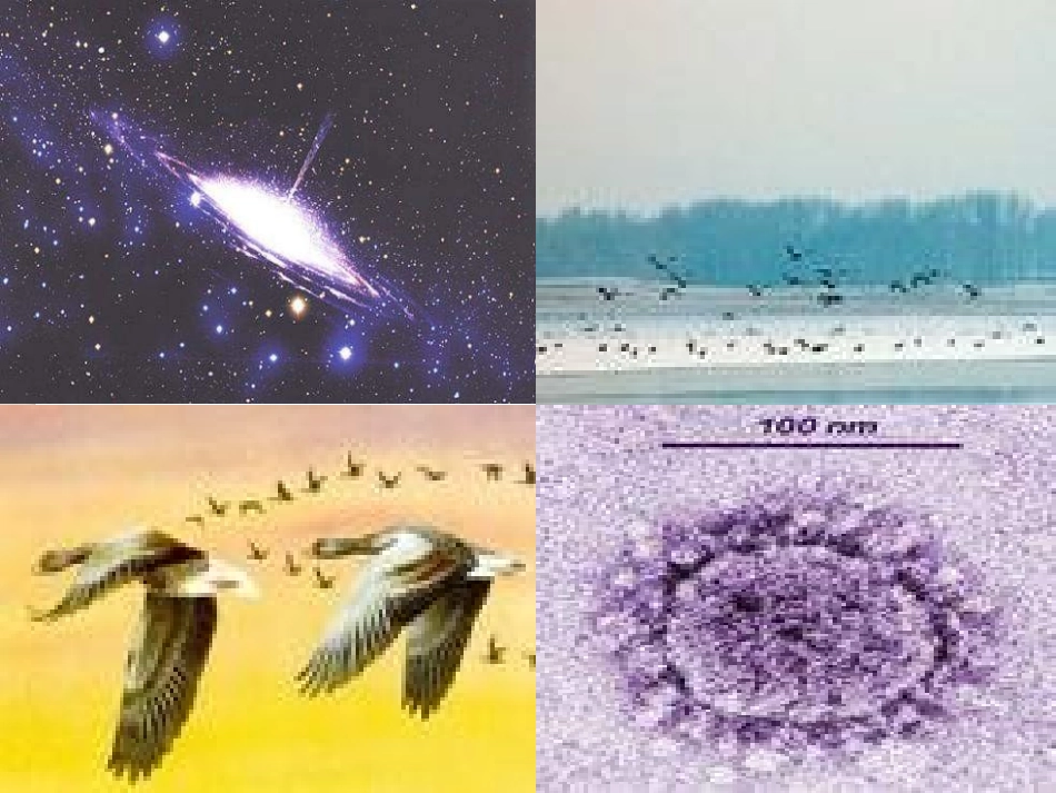 《走进微观》小粒子与大宇宙PPT课件[沪科版八年级物理]_第2页
