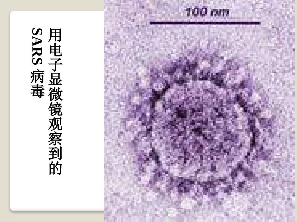 《走进微观》小粒子与大宇宙PPT课件[沪科版八年级物理]_第3页