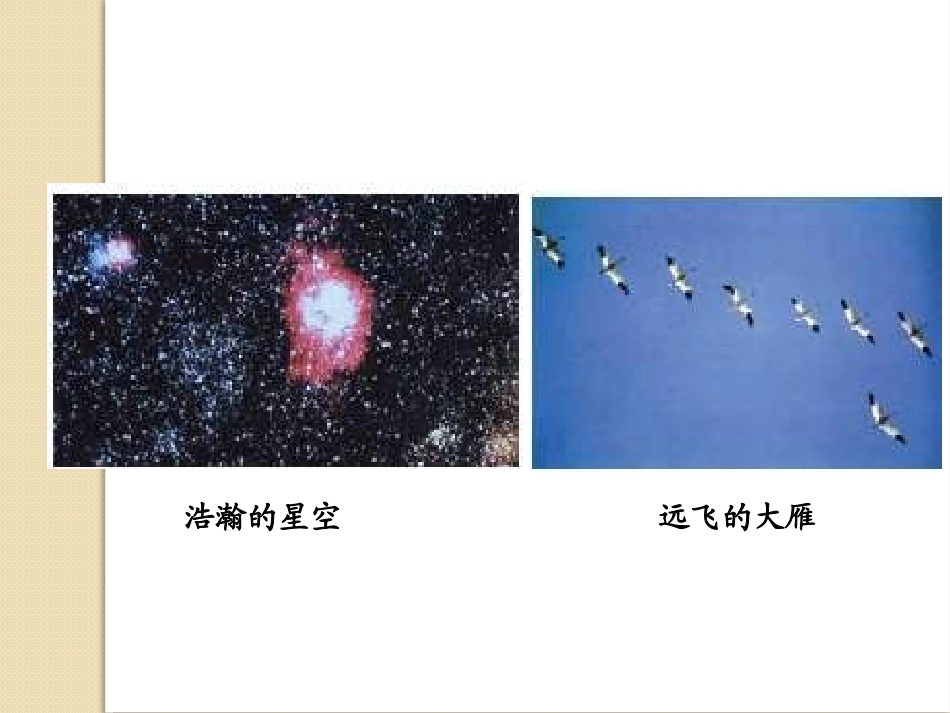 《走进微观》小粒子与大宇宙PPT课件[沪科版八年级物理]_第3页