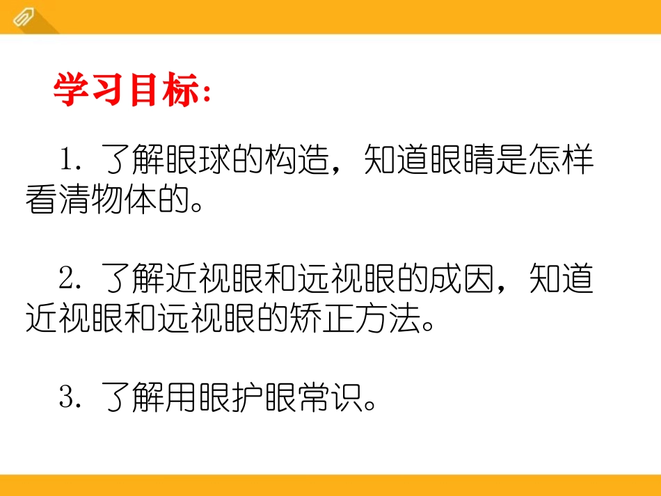 《眼睛和眼镜》透镜及其应用PPT课件[鲁教版八年级物理上册]_第2页
