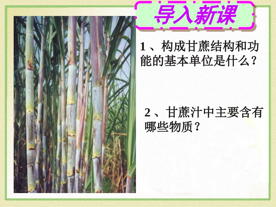 《物质的分子构成》热和能PPT课件[鲁教版九年级物理下册]_第2页