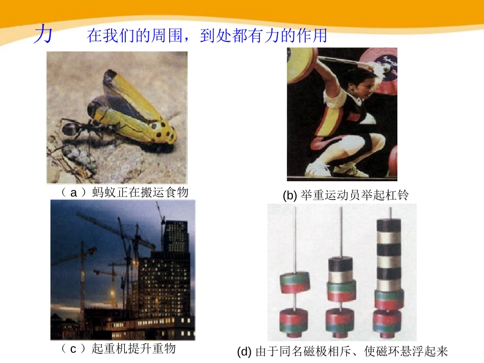 《怎样认识力》力和机械PPT课件[粤沪版八年级物理下册]_第2页