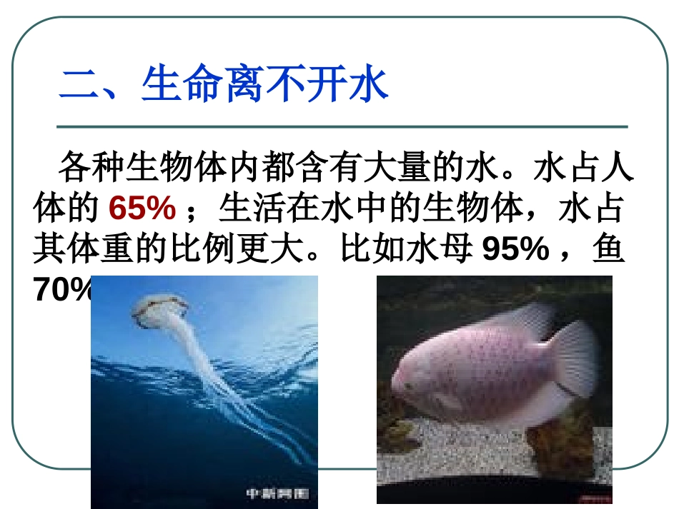 《我们的水资源》生命之源-水PPT课件[粤教版九年级化学]_第3页