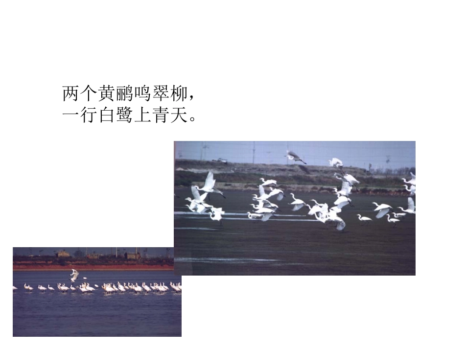 《绝句》PPT课件[部编版二年级语文下册]_第3页
