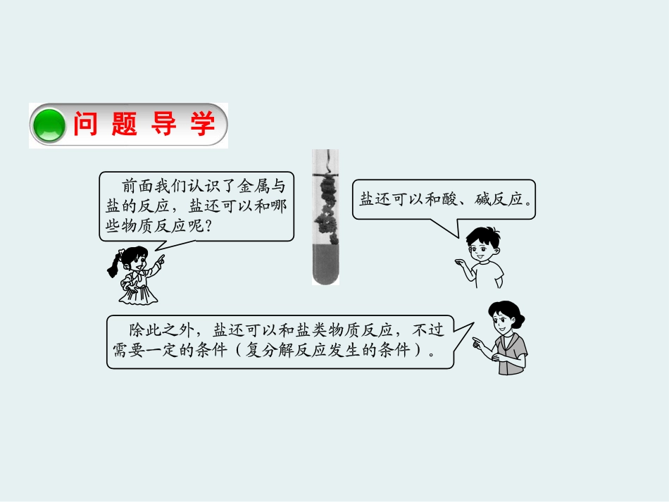 《常用的盐》常见的酸、碱、盐PPT课件[粤教版九年级化学]_第2页