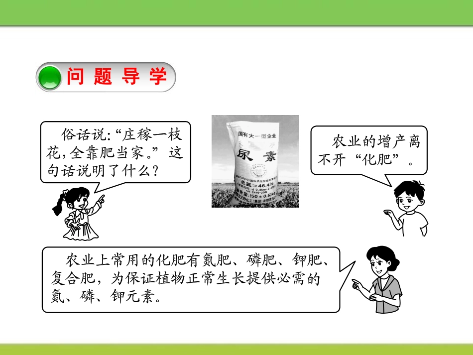 《化学肥料》常见的酸、碱、盐PPT课件[粤教版九年级化学]_第2页