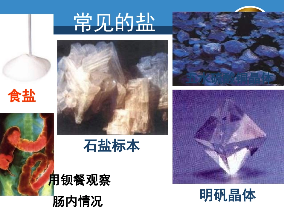 《盐 化学肥料》初始酸、碱和盐PPT课件[湘教版九年级化学]_第3页