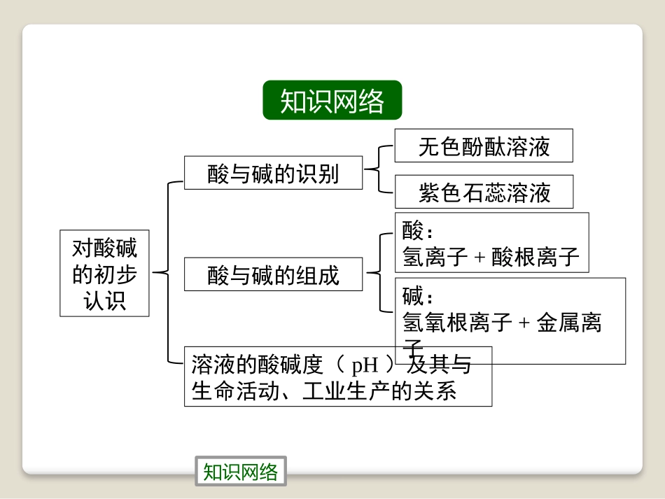 《对酸碱的初步认识》酸与碱PPT课件[北京课改版九年级化学]_第2页