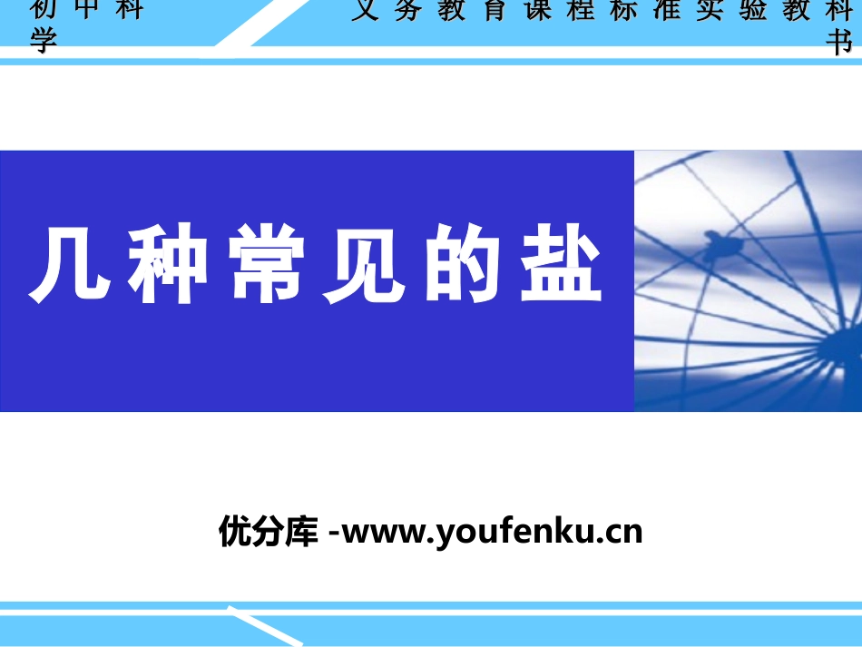 《几种常见的盐》盐PPT课件[北京课改版九年级化学下册]_第1页