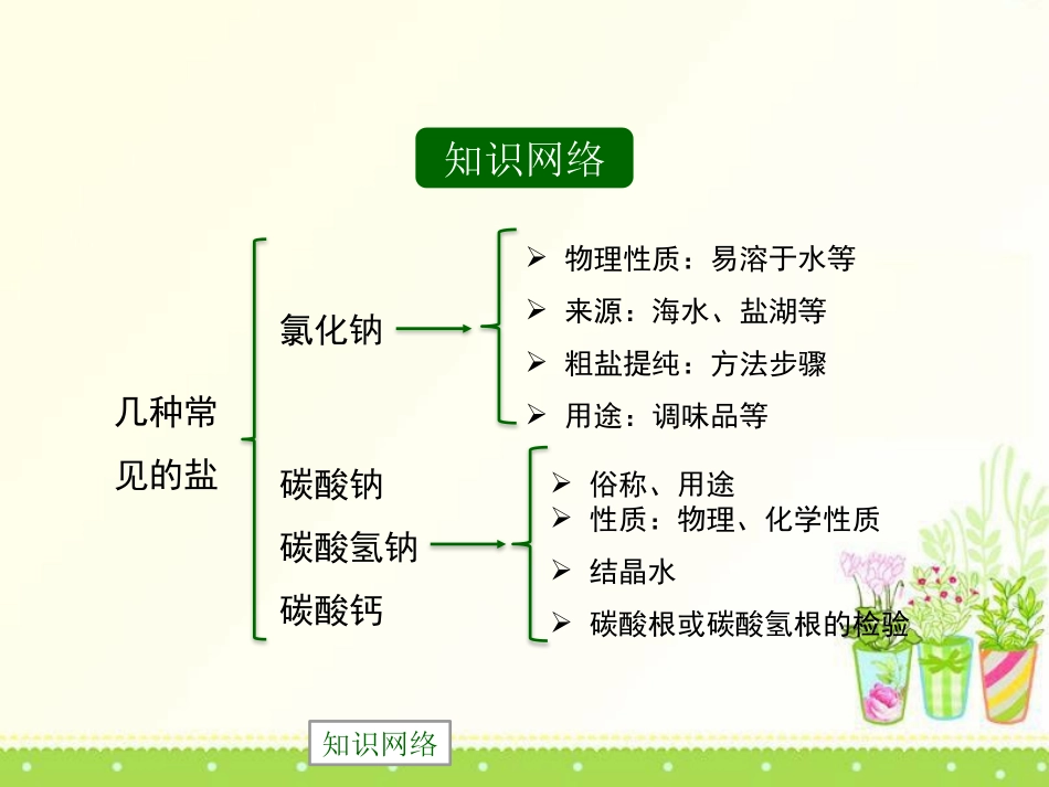 《几种常见的盐》盐PPT课件[北京课改版九年级化学下册]_第2页