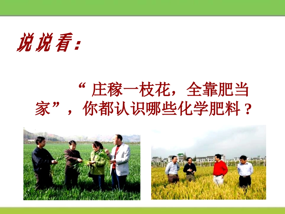 《化学肥料》盐PPT课件[北京课改版九年级化学下册]_第2页
