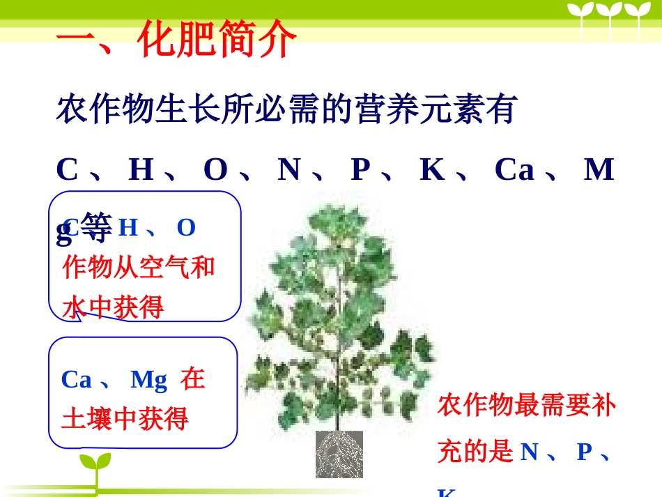 《化学肥料》盐PPT课件[北京课改版九年级化学下册]_第3页
