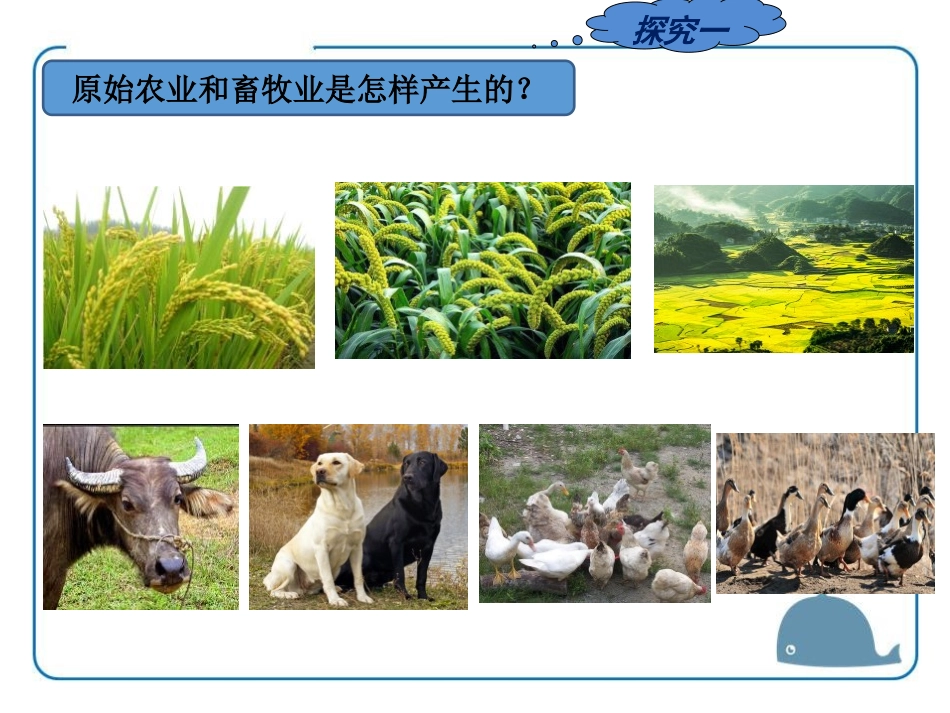 《氏族村落》中华大地上的史前时代PPT课件[中华书局版七年级历史]_第3页