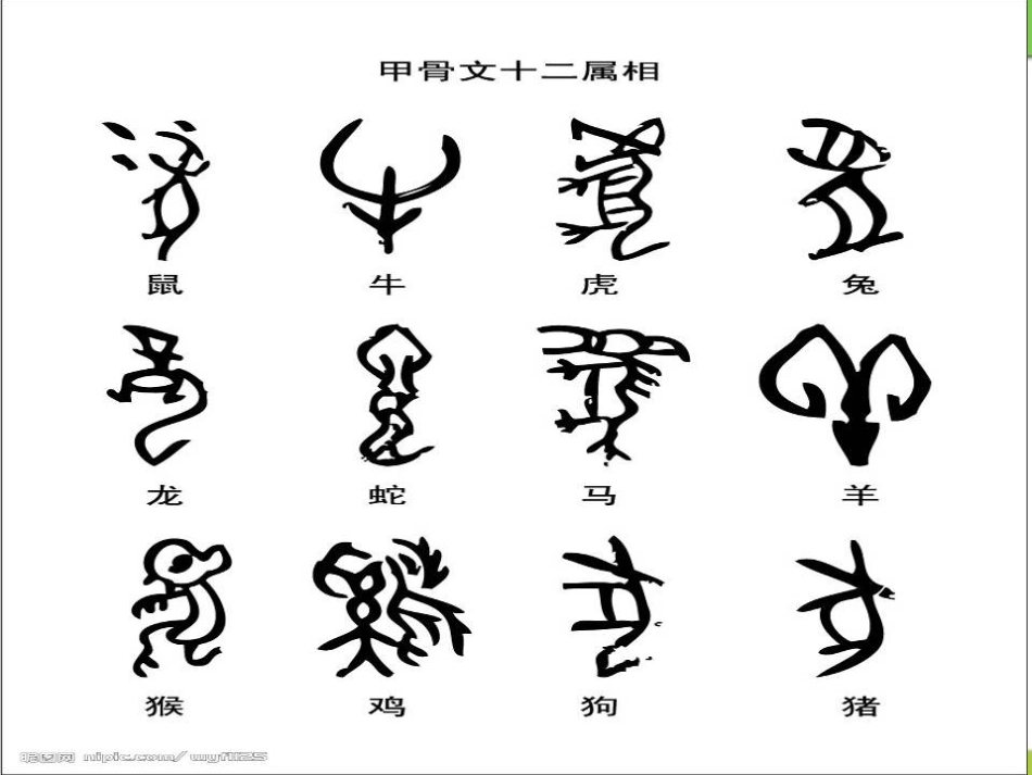 《甲骨文和商周青铜器》国家的产生和社会变革-夏商周PPT课件_第3页