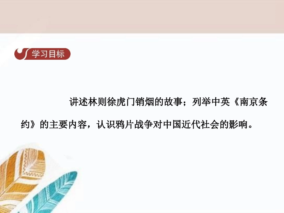 《鸦片战争》列强的侵略与中国人民的抗争PPT课件_第2页