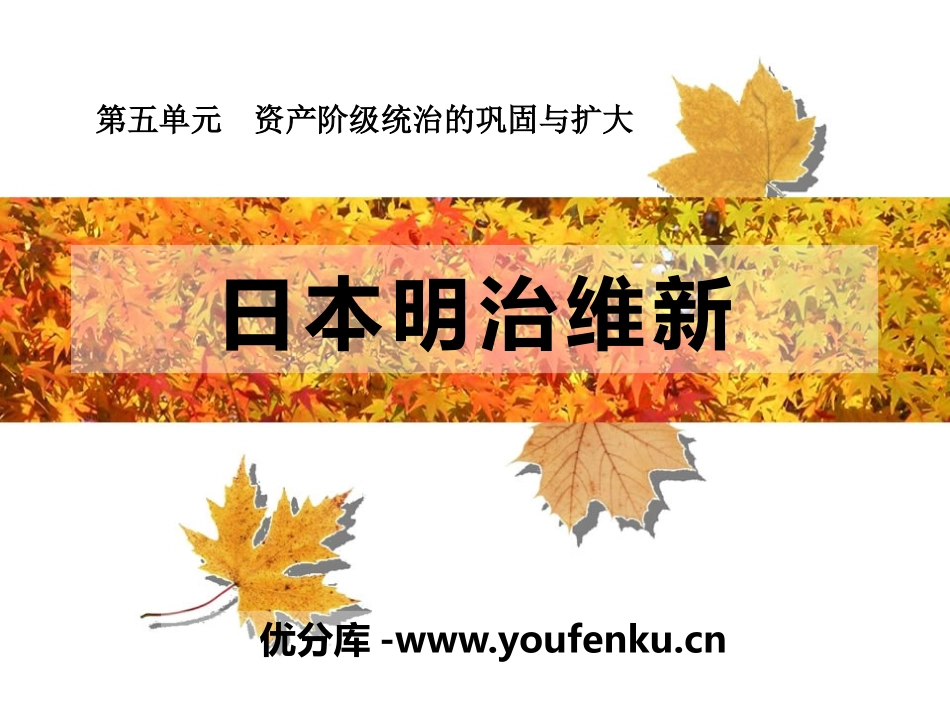 《日本明治维新》资产阶级统治的巩固与扩大PPT课件_第1页
