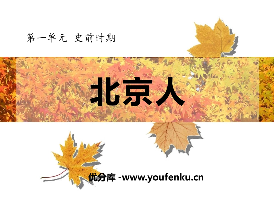 《北京人》史前时期PPT课件[华师大版七年级历史上册]_第1页