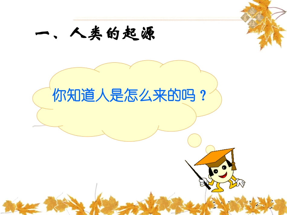 《北京人》史前时期PPT课件[华师大版七年级历史上册]_第3页