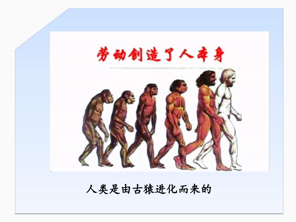 《北京人》史前时期PPT课件[华师大版七年级历史上册]_第3页